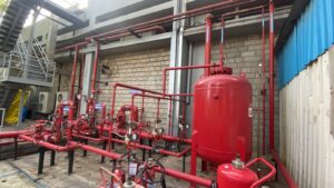 WhatsApp Image 2026-03-25 at 4.03.06 PM